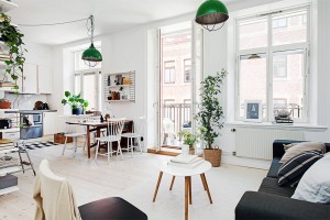 scandinava plantas