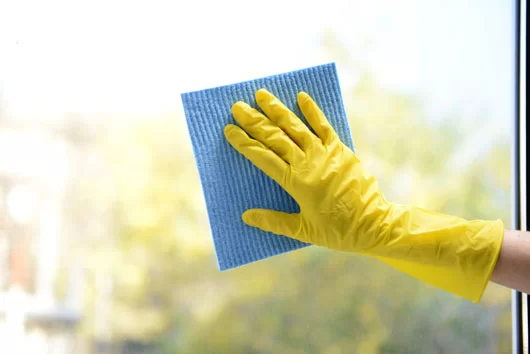 limpeza dos vidros limpeza dos vidros