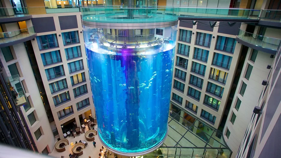 AquaDom